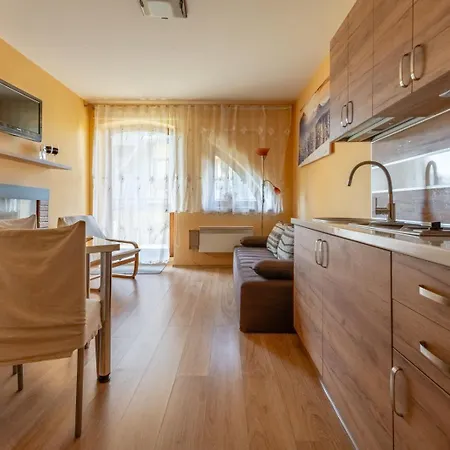 WHY NOT Apartamenty rodzinne PANORAMA BUDGET * Kościelisko